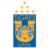 tigres tigres